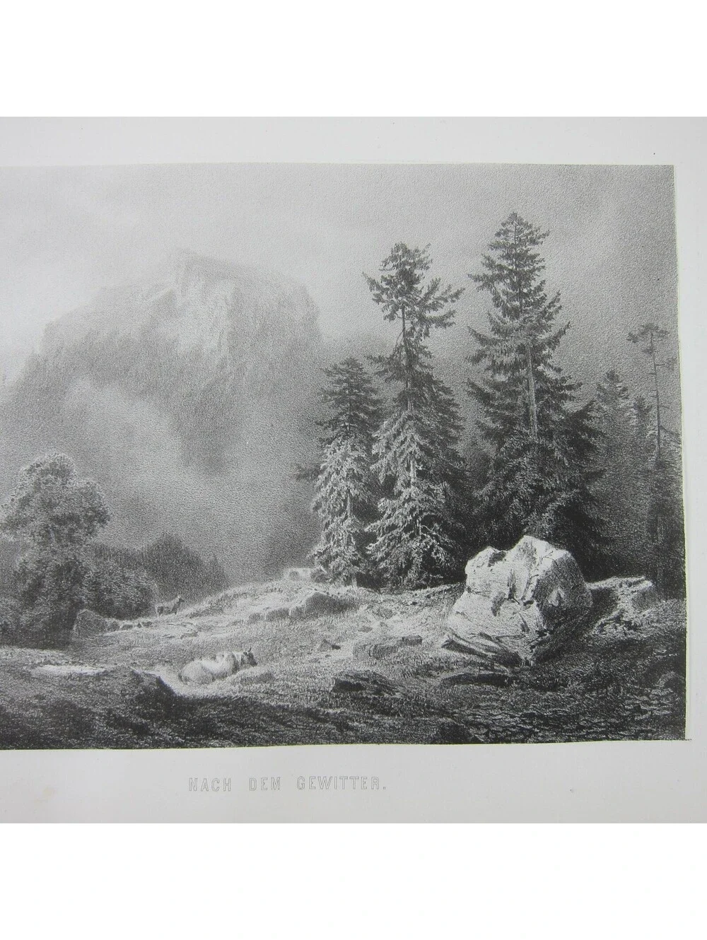 N/A antique print